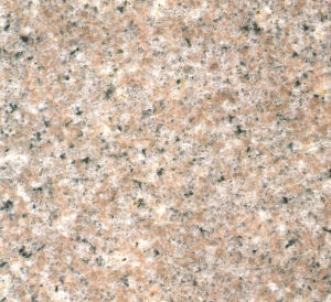 Reddish Grain Shijing Reddish Grain Shijing