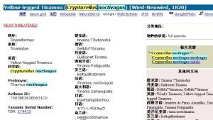 Yellow-legged Tinamou (Crypturellus noctivagus) (Wied-Neuwied, 1820)