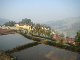 規德海上寨村 規德海上寨村