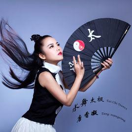 水舞太極 水舞太極