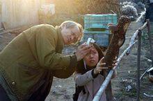 工作中的黃永松