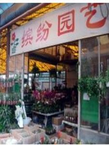 昆明繽紛園藝 昆明繽紛園藝