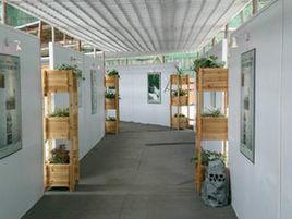 中國小文化走廊 中國小文化走廊