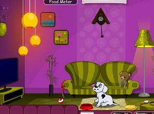 快來餵小狗 快來餵小狗