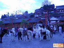 印象·麗江春節行圖片