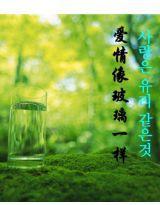 愛情像玻璃一樣 愛情像玻璃一樣