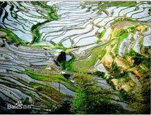 水車鎮[湖南省新化縣下轄鎮]