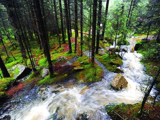 又一個被低估的絕美旅行地!驚人奇觀,西北大地上的彩虹!