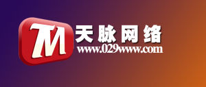 西安天脈網路技術有限公司 西安天脈網路技術有限公司