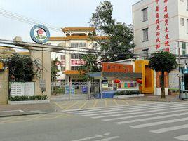 古井國小 古井國小