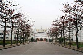 謝易國中學 謝易國中學