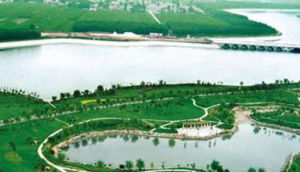 海水灌溉農業 海水灌溉農業