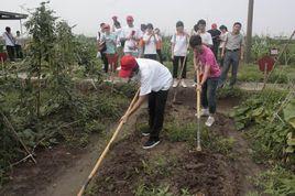 社區服務與社會實踐 社區服務與社會實踐