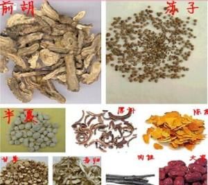 蘇子降氣湯 蘇子降氣湯