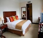 貴州天怡豪生大酒店 貴州天怡豪生大酒店