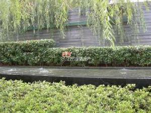 金陵王府 金陵王府