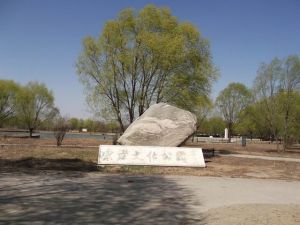 宋莊文化公園 宋莊文化公園