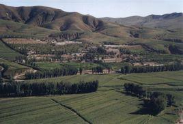 柴胡欄子事件 柴胡欄子事件