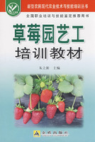 草莓園藝工培訓教材