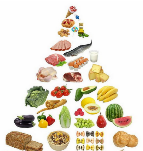 平衡營養觀念 平衡營養觀念