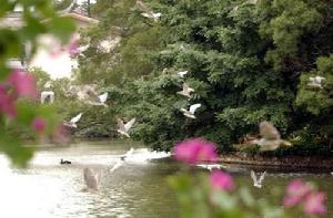 西郊動物園景點