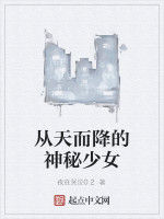 從天而降的神秘少女 從天而降的神秘少女