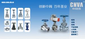 中閥控股(集團)有限公司 中閥控股(集團)有限公司