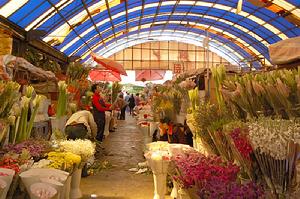 昆明斗南花卉市場