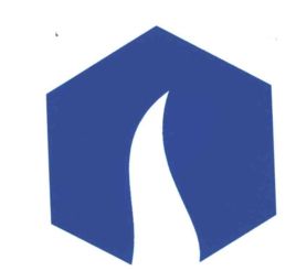 仙琚製藥 仙琚製藥