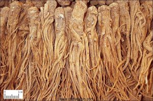 活絡祛寒湯[中藥]