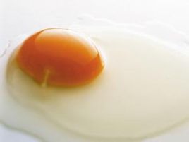 蛋黃 蛋黃