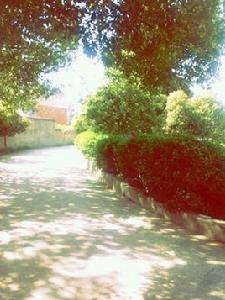 巢湖學院附屬中學 巢湖學院附屬中學