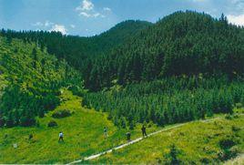 壽鹿山國家森林公園 壽鹿山國家森林公園