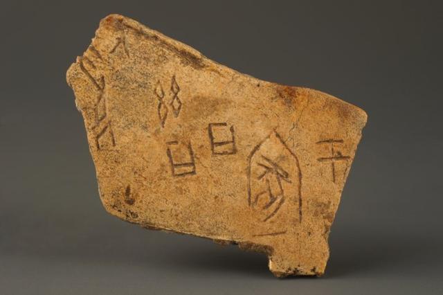 為何商朝拚死也要征東夷,婦好墓卜辭講述了真相