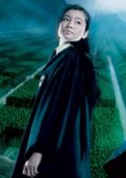 哈利&middot;波特與火焰杯[英美2005年邁克&middot;紐維執導電影]