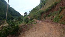 大馬廠自然村 大馬廠自然村