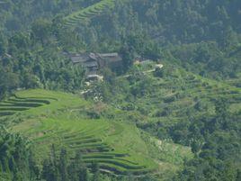 羊叉田村 羊叉田村