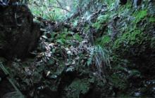 鳳凰山銅礦遺址