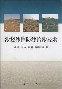 沙袋沙障防沙治沙技術 沙袋沙障防沙治沙技術