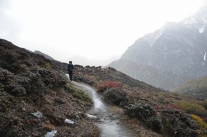 石城山森林公園