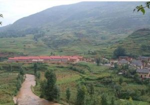 青崗嶺村 青崗嶺村