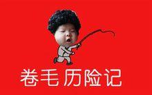 《捲毛歷險記》