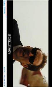 尼古拉斯凱奇電影 尼古拉斯凱奇電影