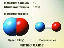 一氧化氮膠囊 一氧化氮膠囊