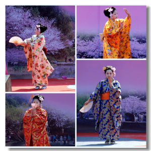 藝妓節圖片
