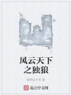 風雲天下之獨狼 風雲天下之獨狼