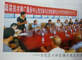 大鐘莊鎮 大鐘莊鎮