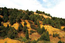 烏金山[避暑勝地]