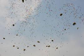 你走了,我怎么快樂 你走了,我怎么快樂