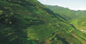 尖山河經營所 尖山河經營所